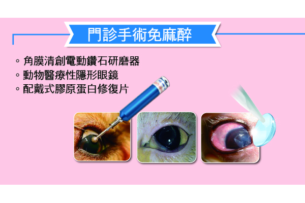 圖二 門診手術免麻醉